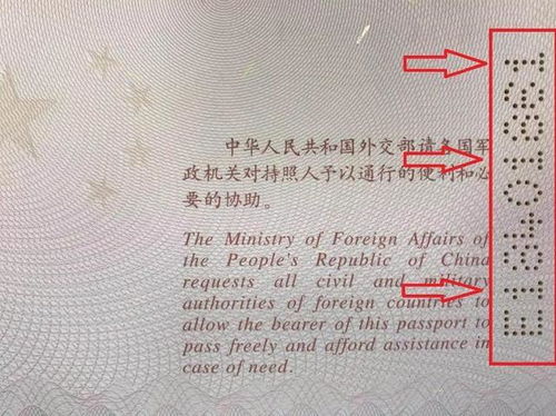 旅行寶典 護(hù)照上的數(shù)字究竟怎么看？這些方法讓你一目了然